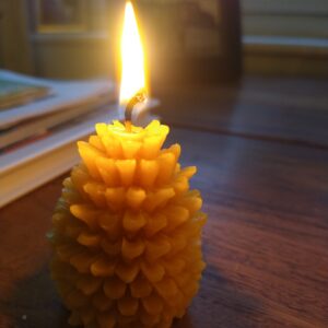 beeswax candle pine cone alight 1
